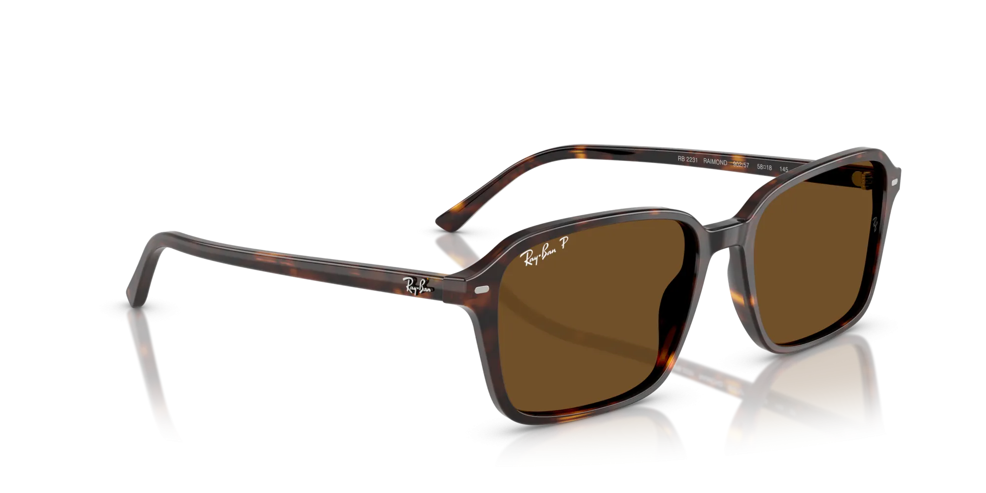 Ray-Ban Raimond RB2231 902/57