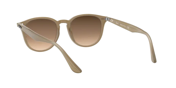 Ray-Ban RB4259F 616613