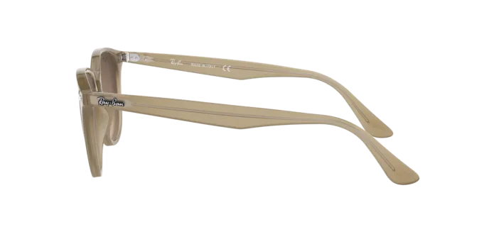 Ray-Ban RB4259F 616613