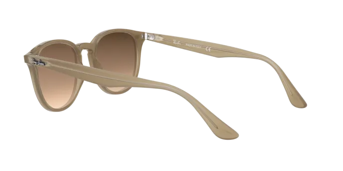 Ray-Ban RB4259F 616613