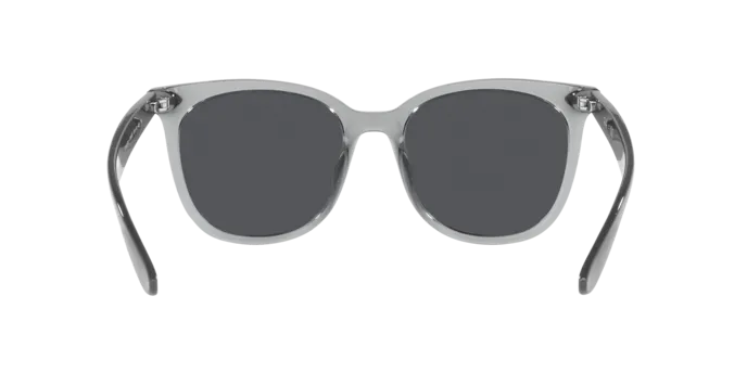 Ray-Ban RB4379D 659987