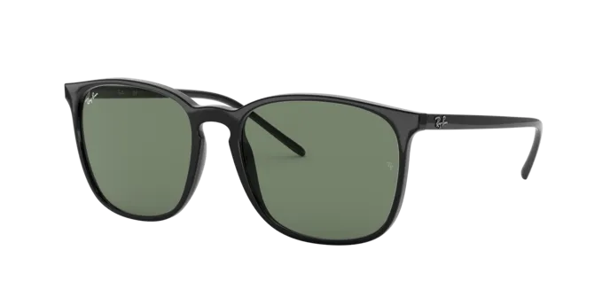 Ray-Ban RB4387F 901/71