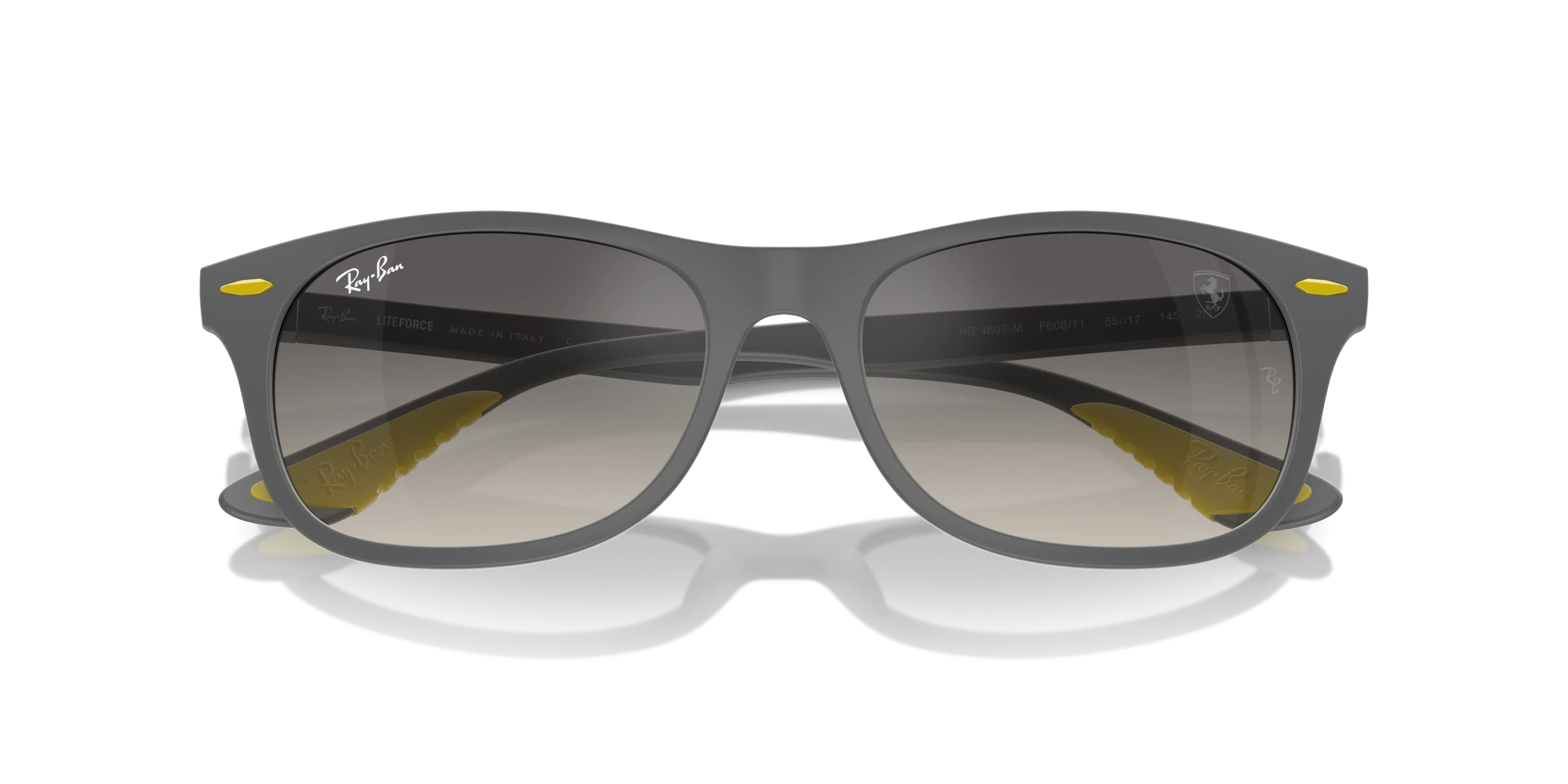 Ray-Ban RB4607M F60811