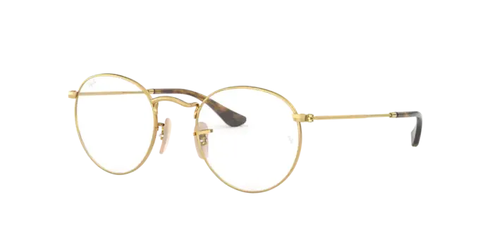 Ray-Ban Round Metal RX3447V 3118