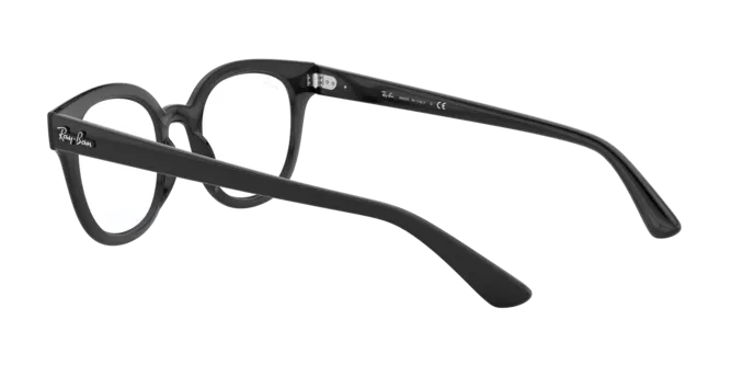 Ray-Ban RX4324V 2000