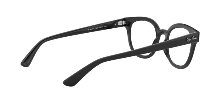 Ray-Ban RX4324V 2000