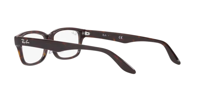 Ray-Ban RX5408D 2012