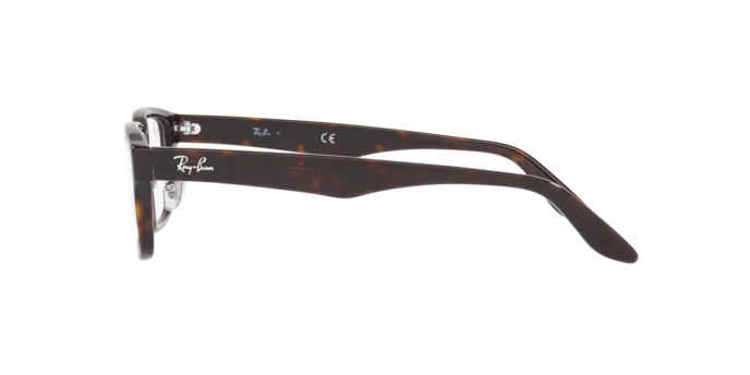 Ray-Ban RX5408D 2012