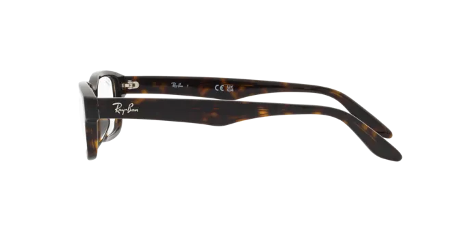 Ray-Ban RX5415D 8287