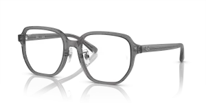 Ray-Ban RX5424D 8268