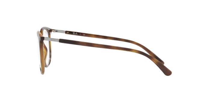 Ray-Ban RX7190 2012