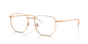 Ray-Ban RX8776D 1248