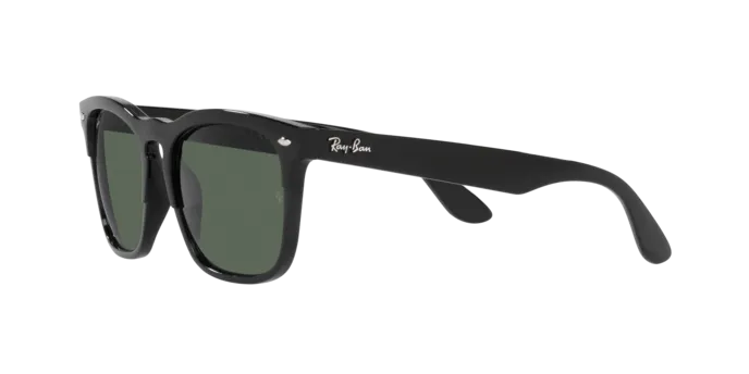 Ray-Ban Steve RB4487 662971