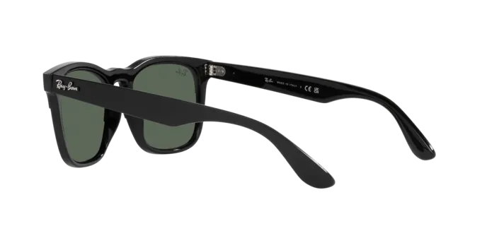 Ray-Ban Steve RB4487 662971