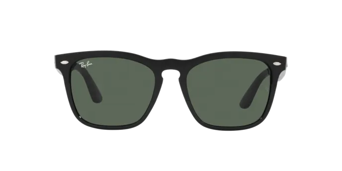 Ray-Ban Steve RB4487 662971