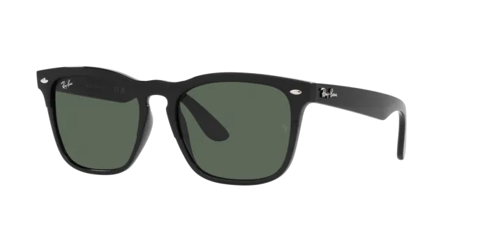 Ray-Ban Steve RB4487 662971
