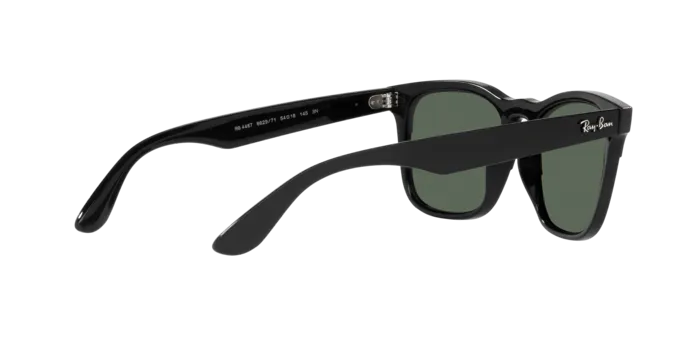 Ray-Ban Steve RB4487 662971