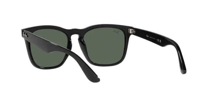 Ray-Ban Steve RB4487 662971