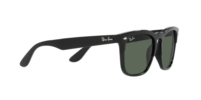 Ray-Ban Steve RB4487 662971