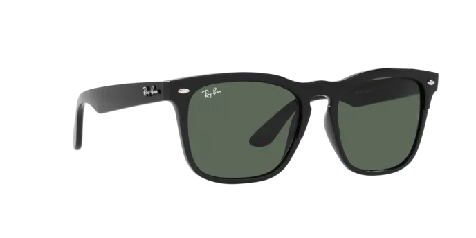 Ray-Ban Steve RB4487 662971