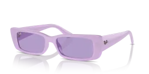 Ray-Ban Teru RB4425 67581A