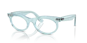 Ray-Ban Wayfarer Oval RX2242V 8293