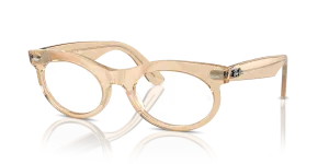 Ray-Ban Wayfarer Oval RX2242V 8294
