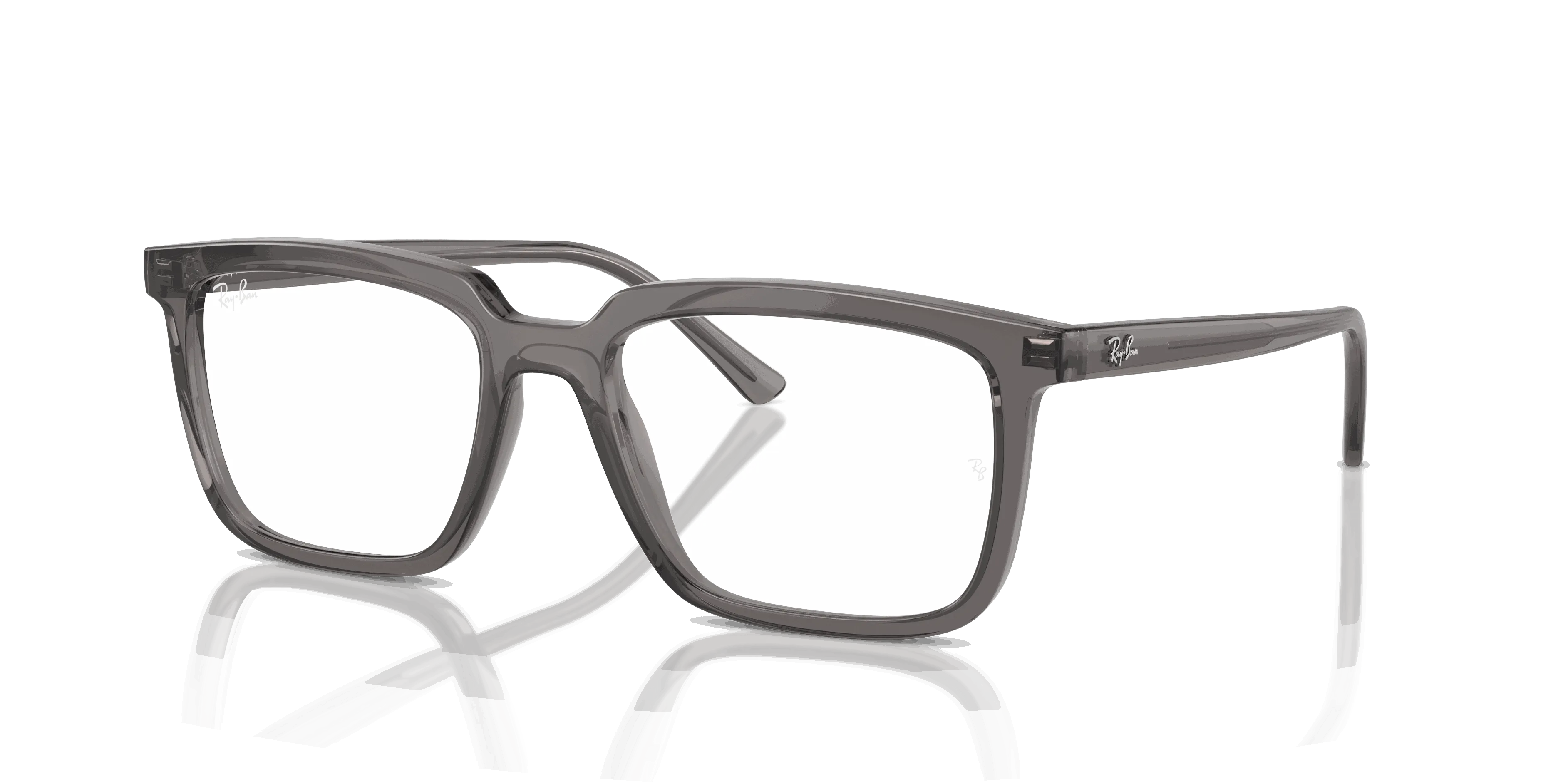 RayBan ALAIN OPTICS