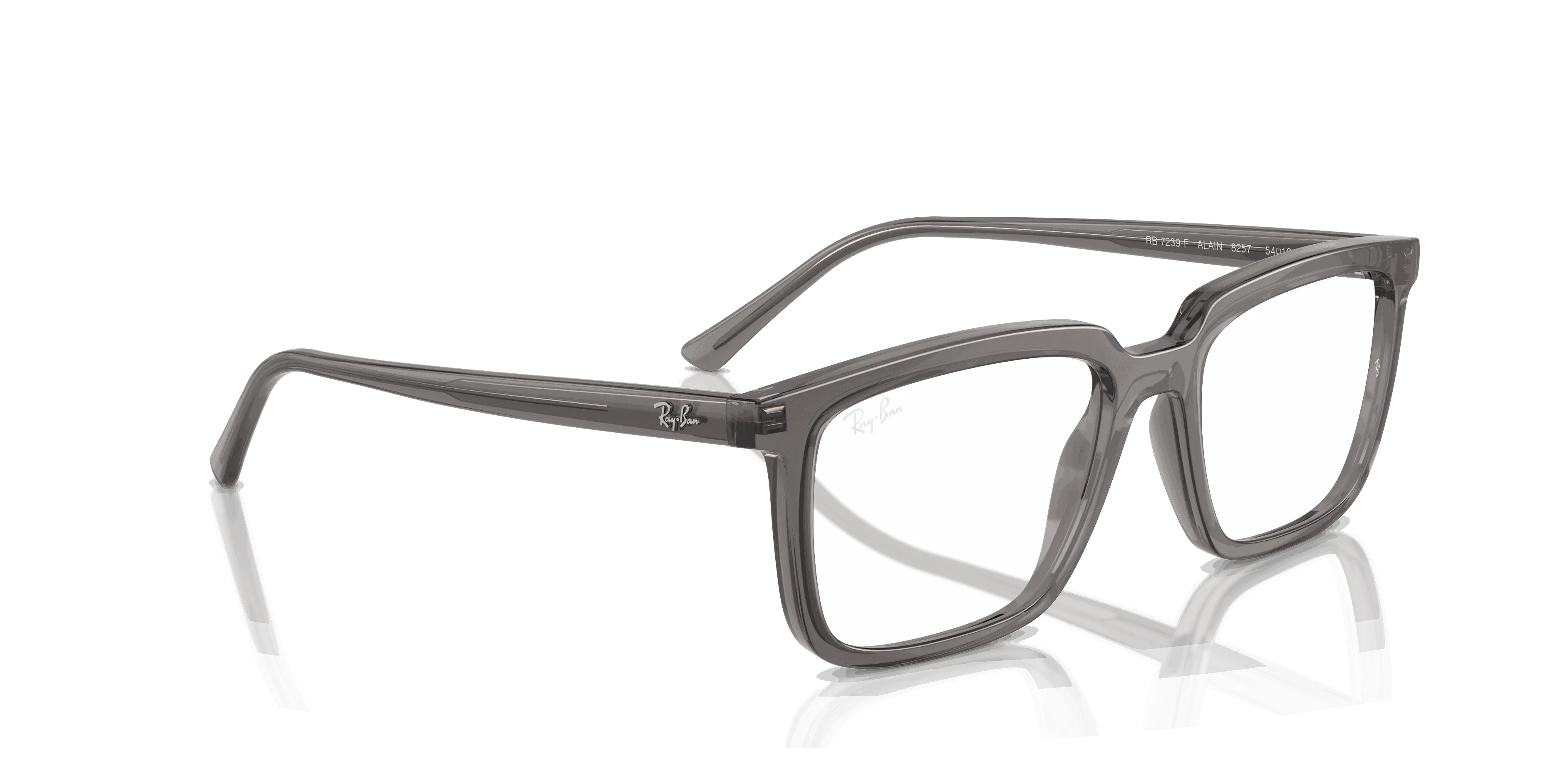 RayBan ALAIN OPTICS