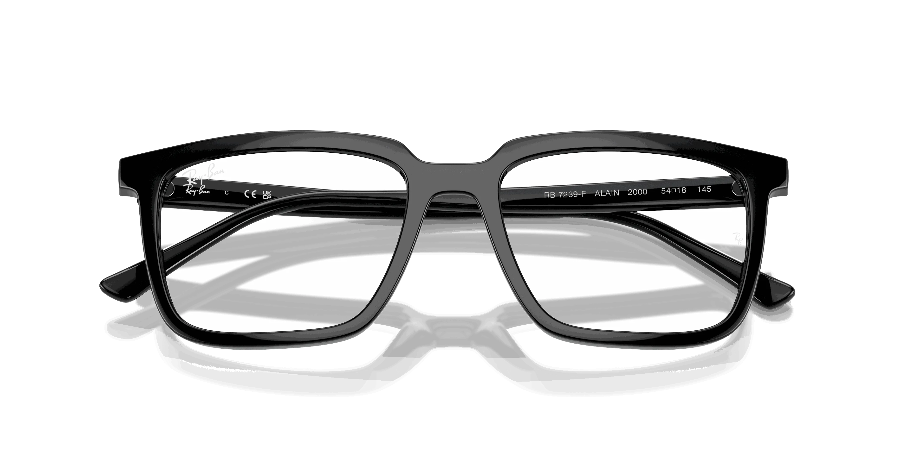 RayBan ALAIN OPTICS