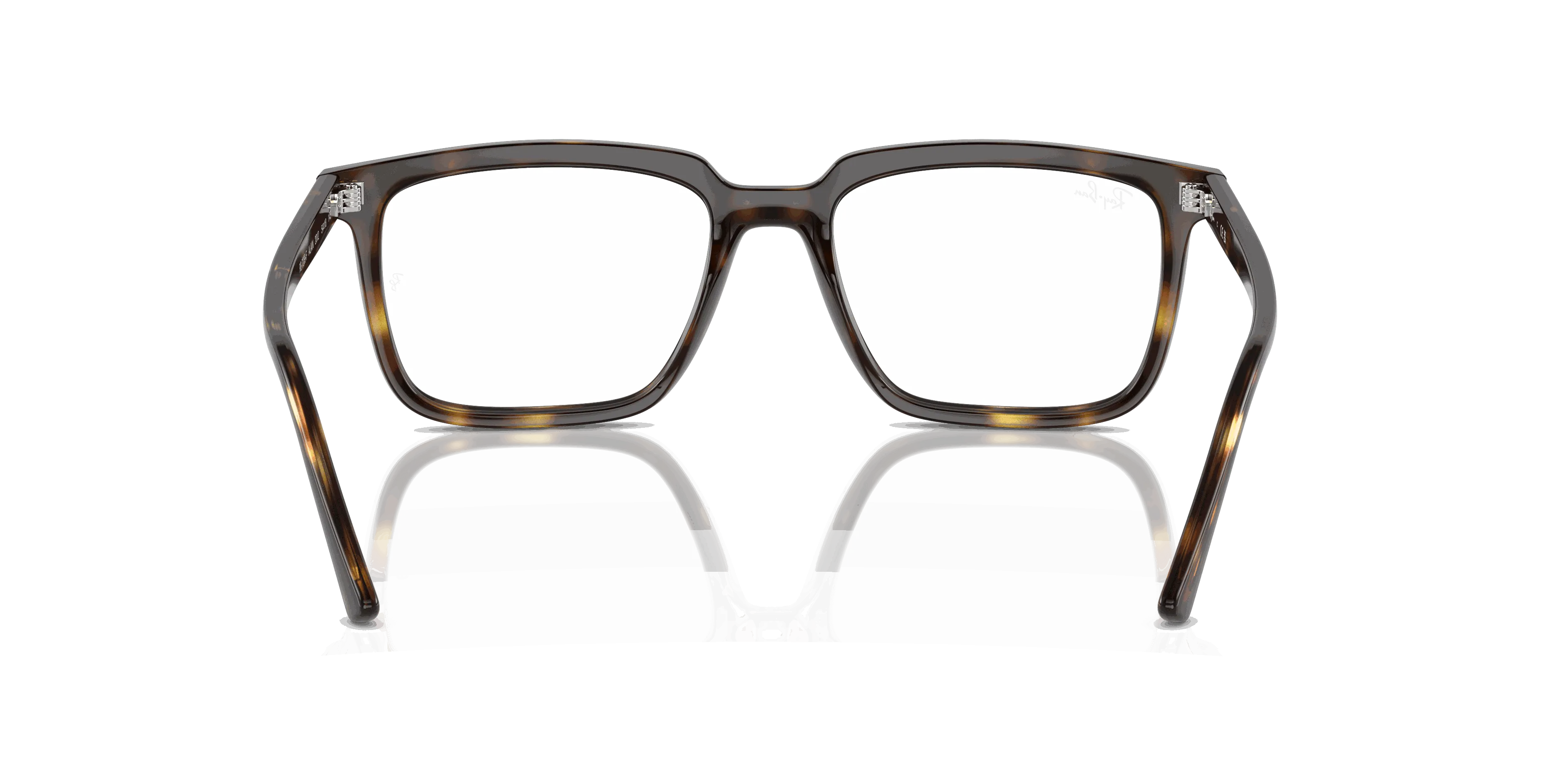 RayBan ALAIN OPTICS