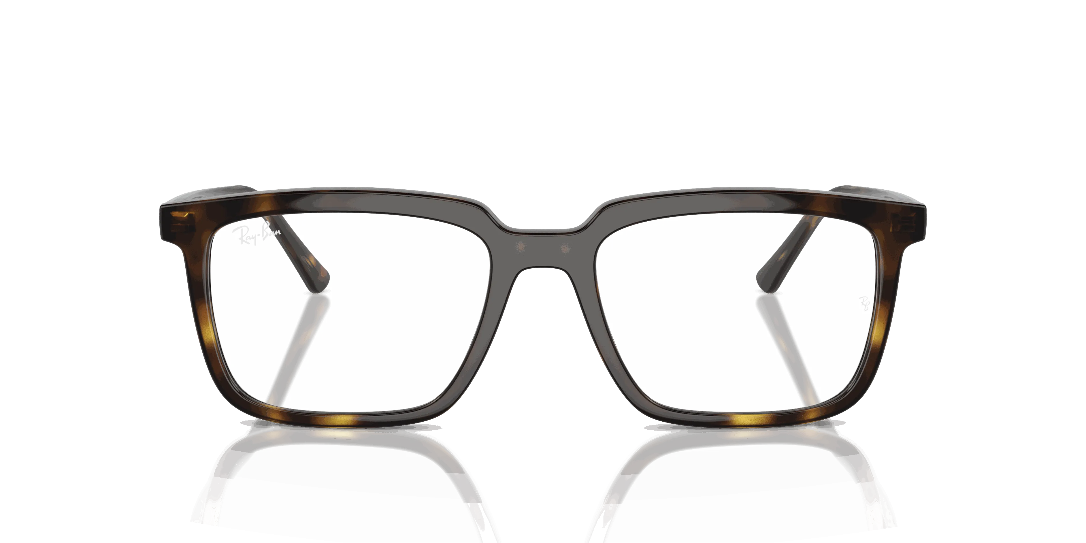 RayBan ALAIN OPTICS