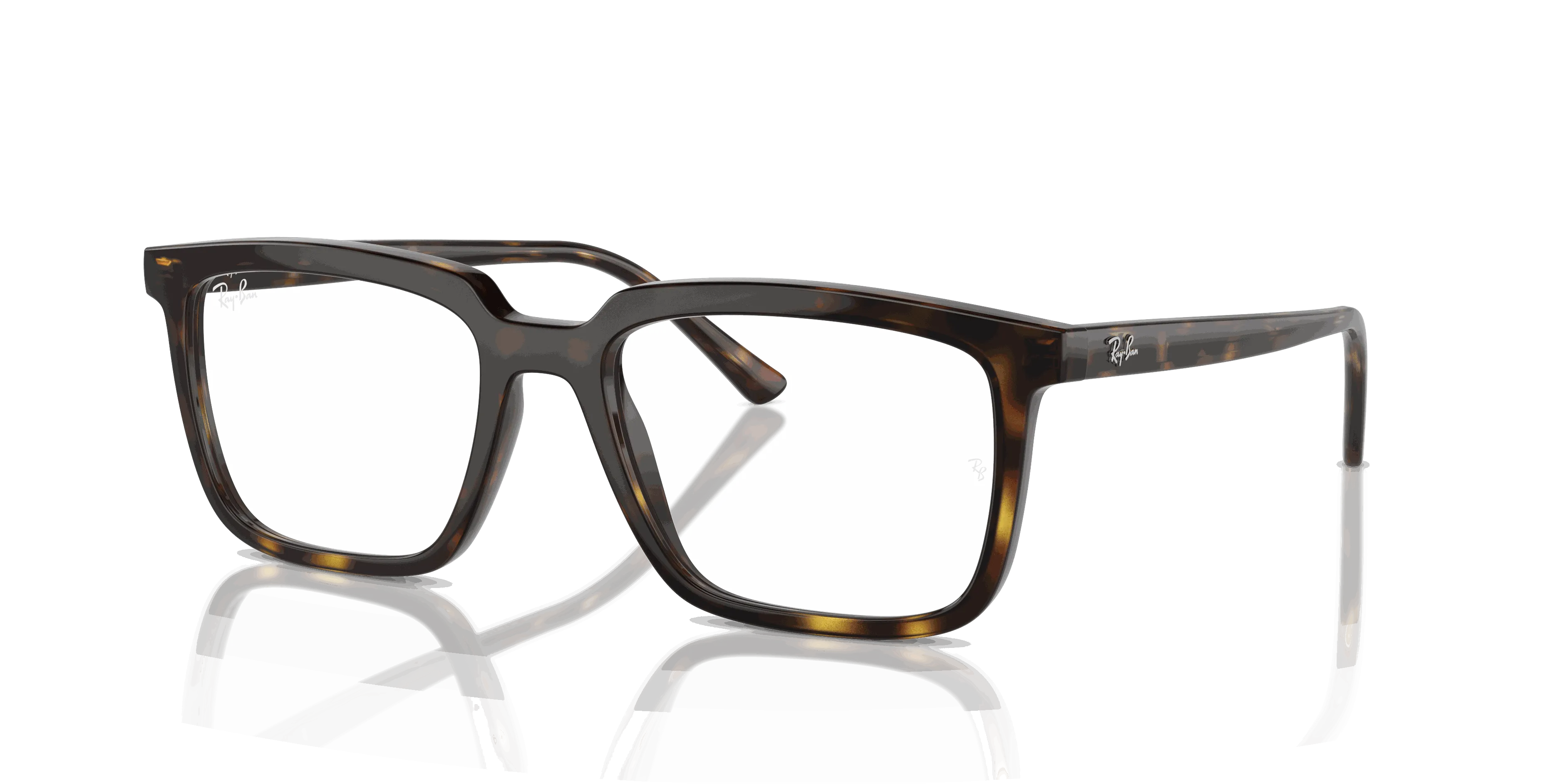 RayBan ALAIN OPTICS