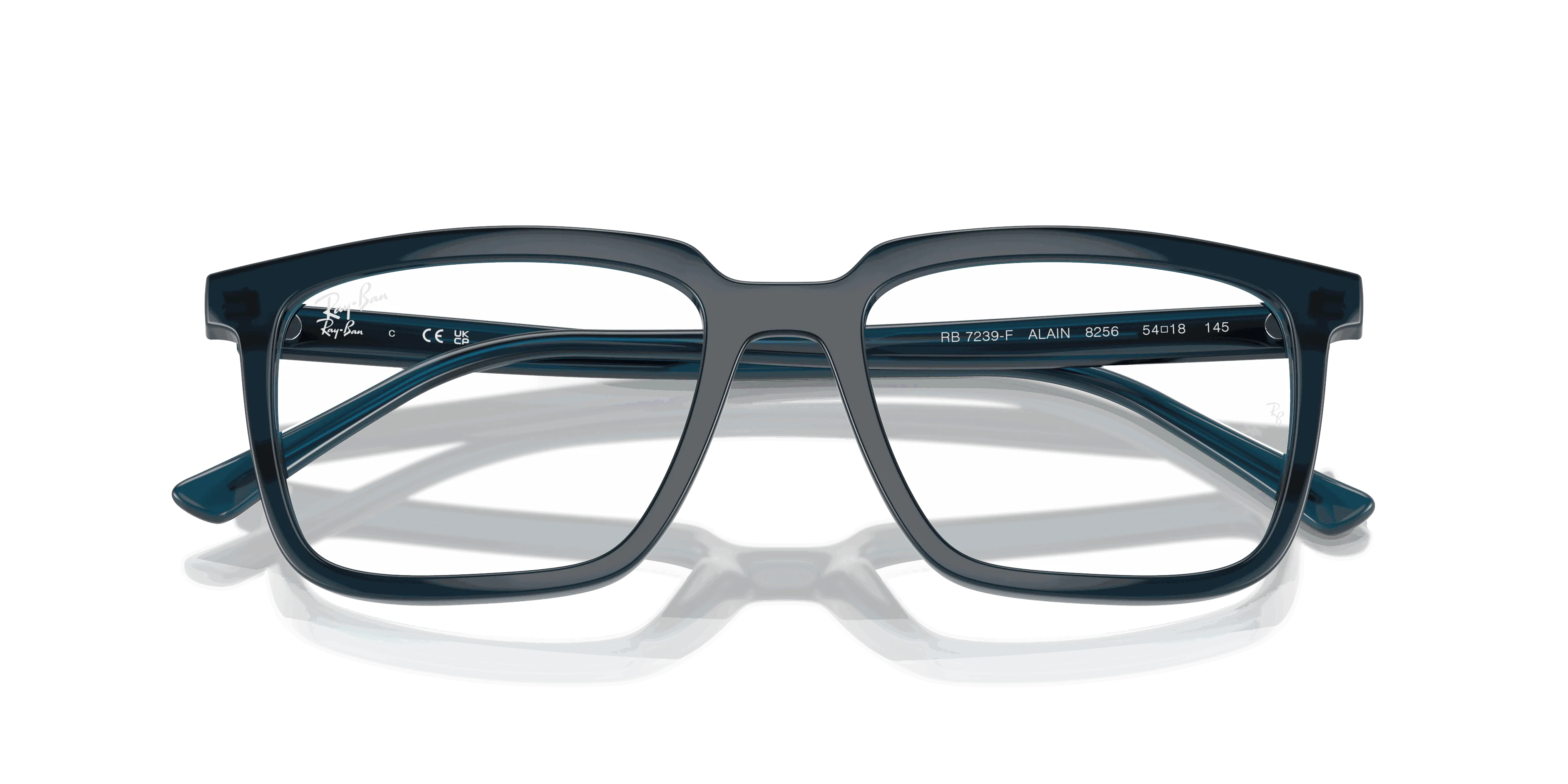 RayBan ALAIN OPTICS
