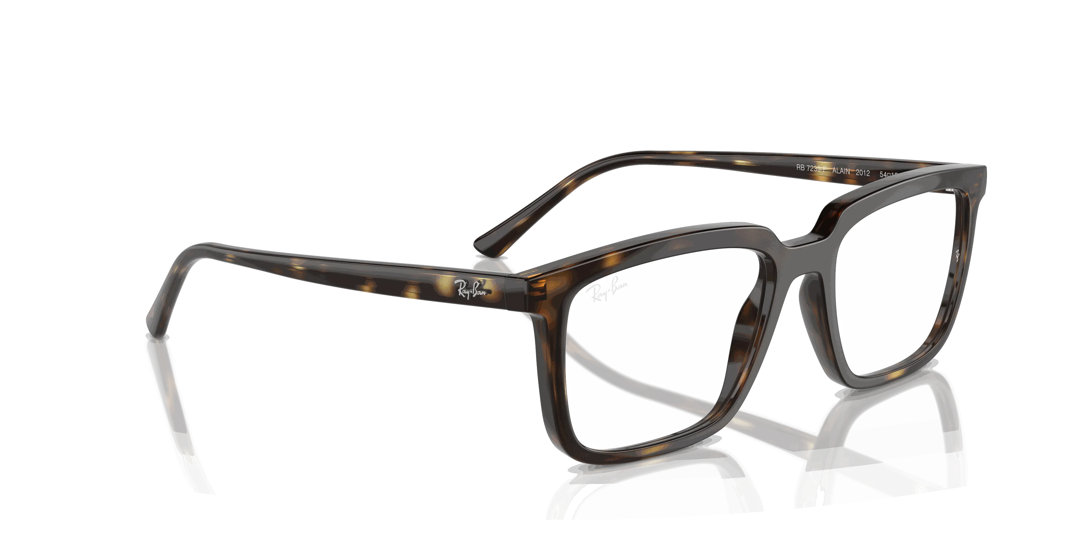 RayBan ALAIN OPTICS