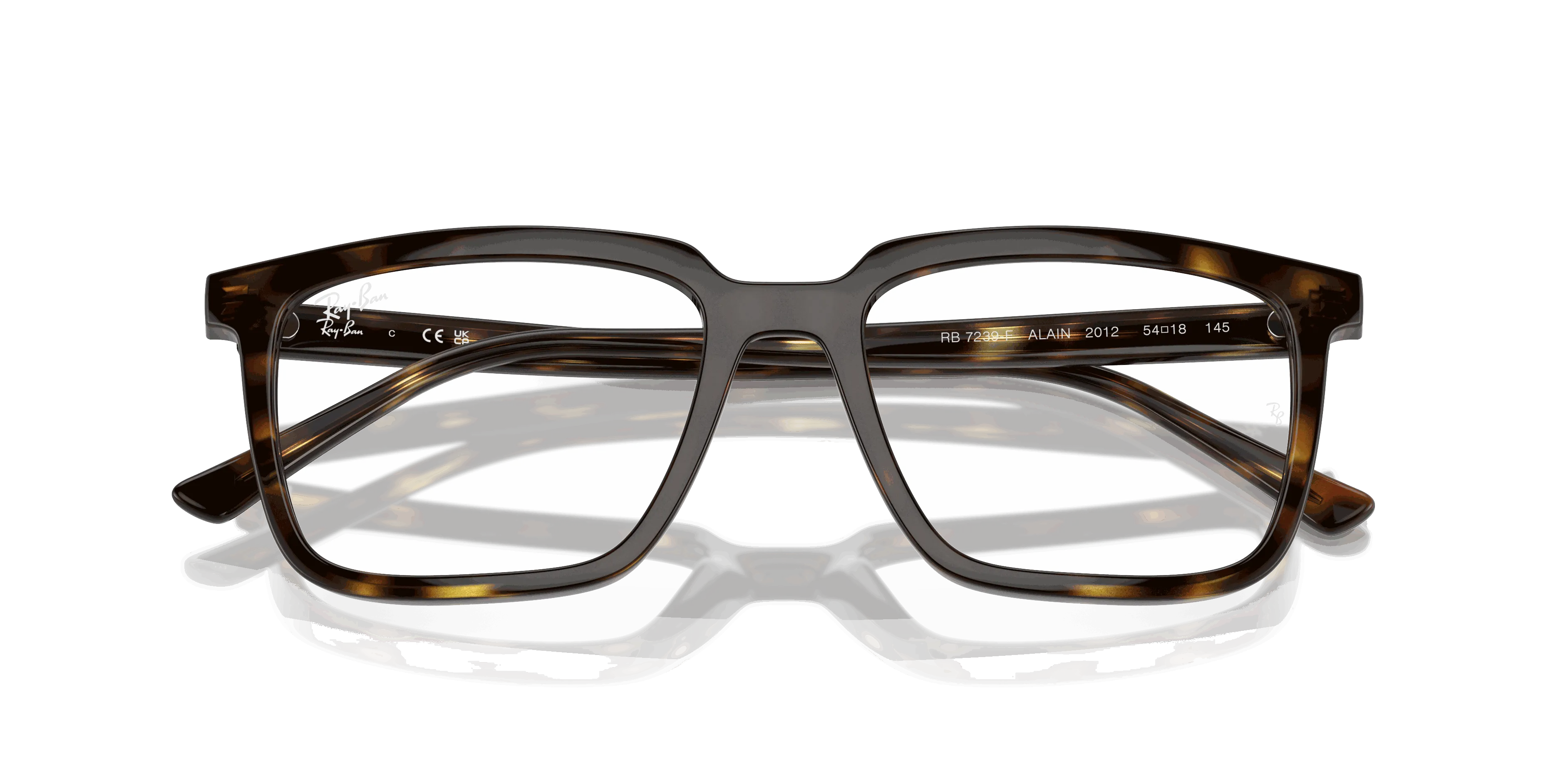 RayBan ALAIN OPTICS