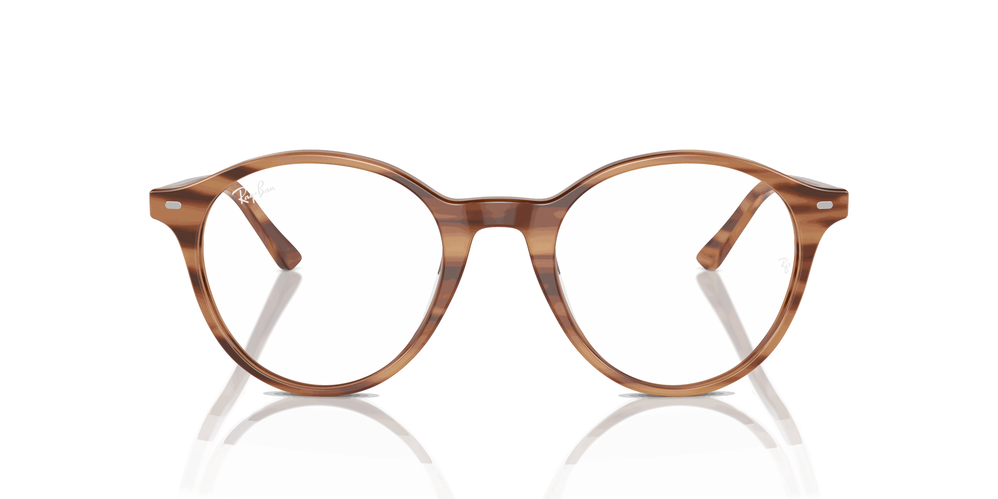 RayBan BERNARD OPTICS