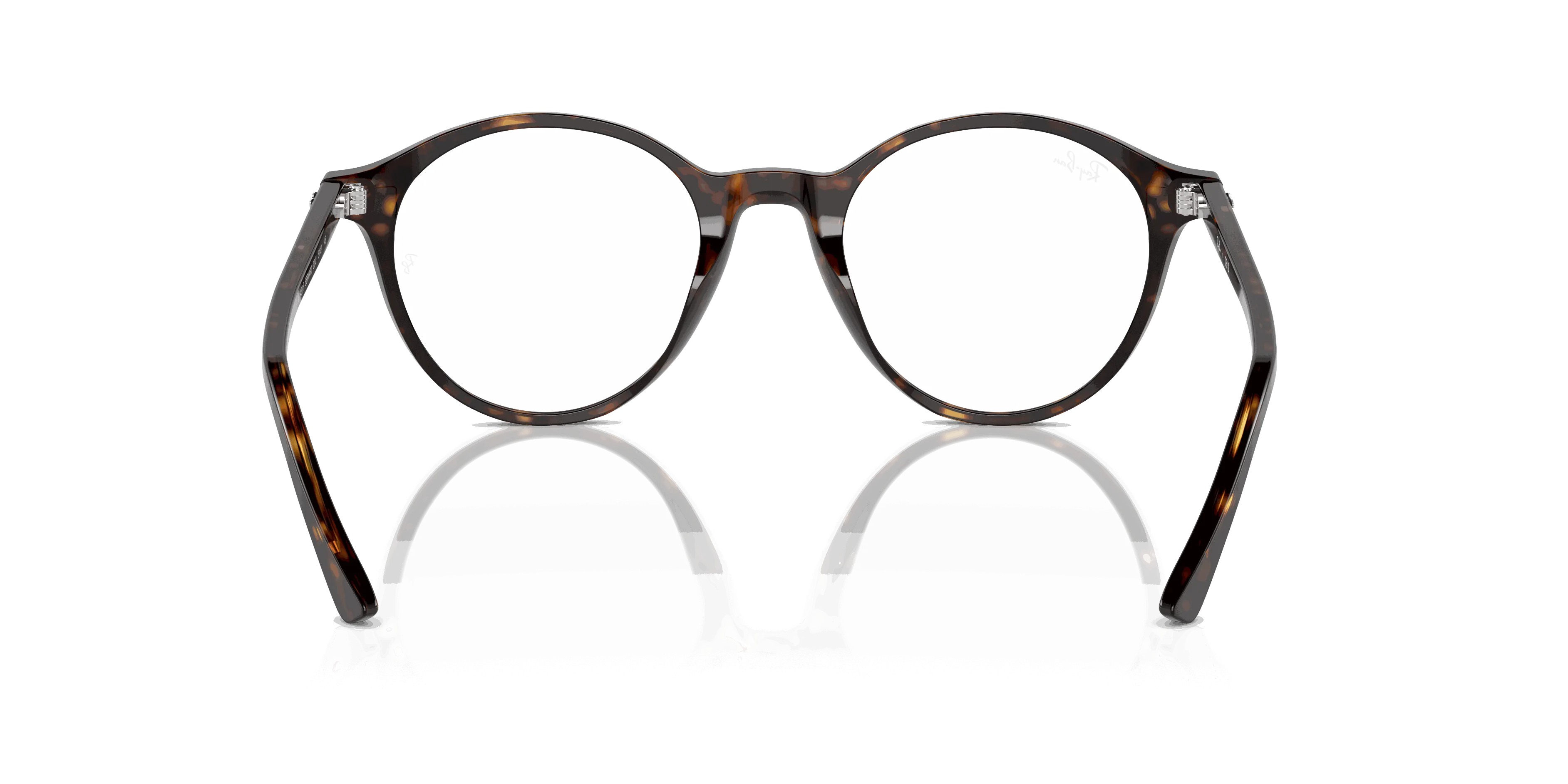 RayBan BERNARD OPTICS