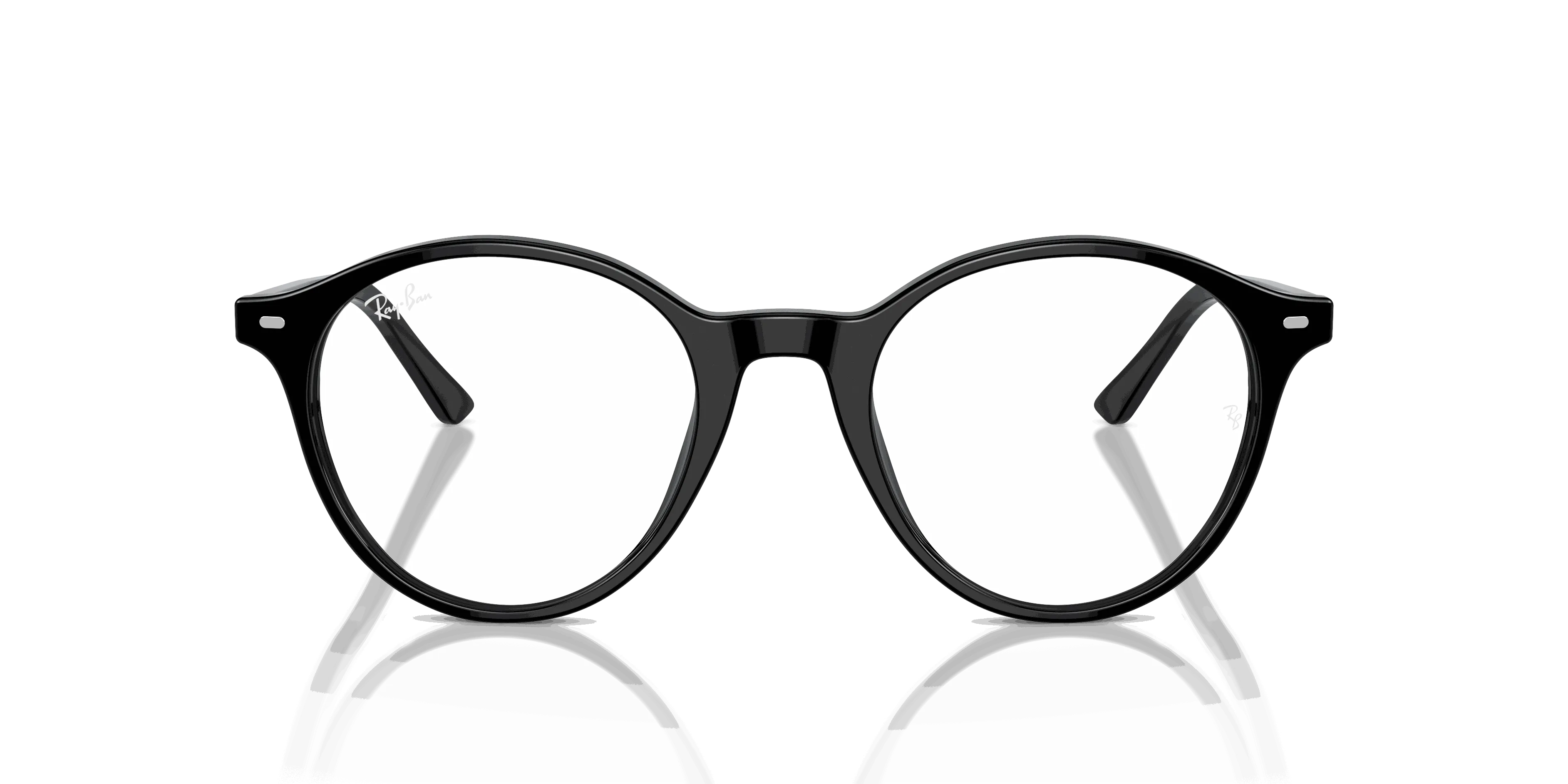 RayBan BERNARD OPTICS