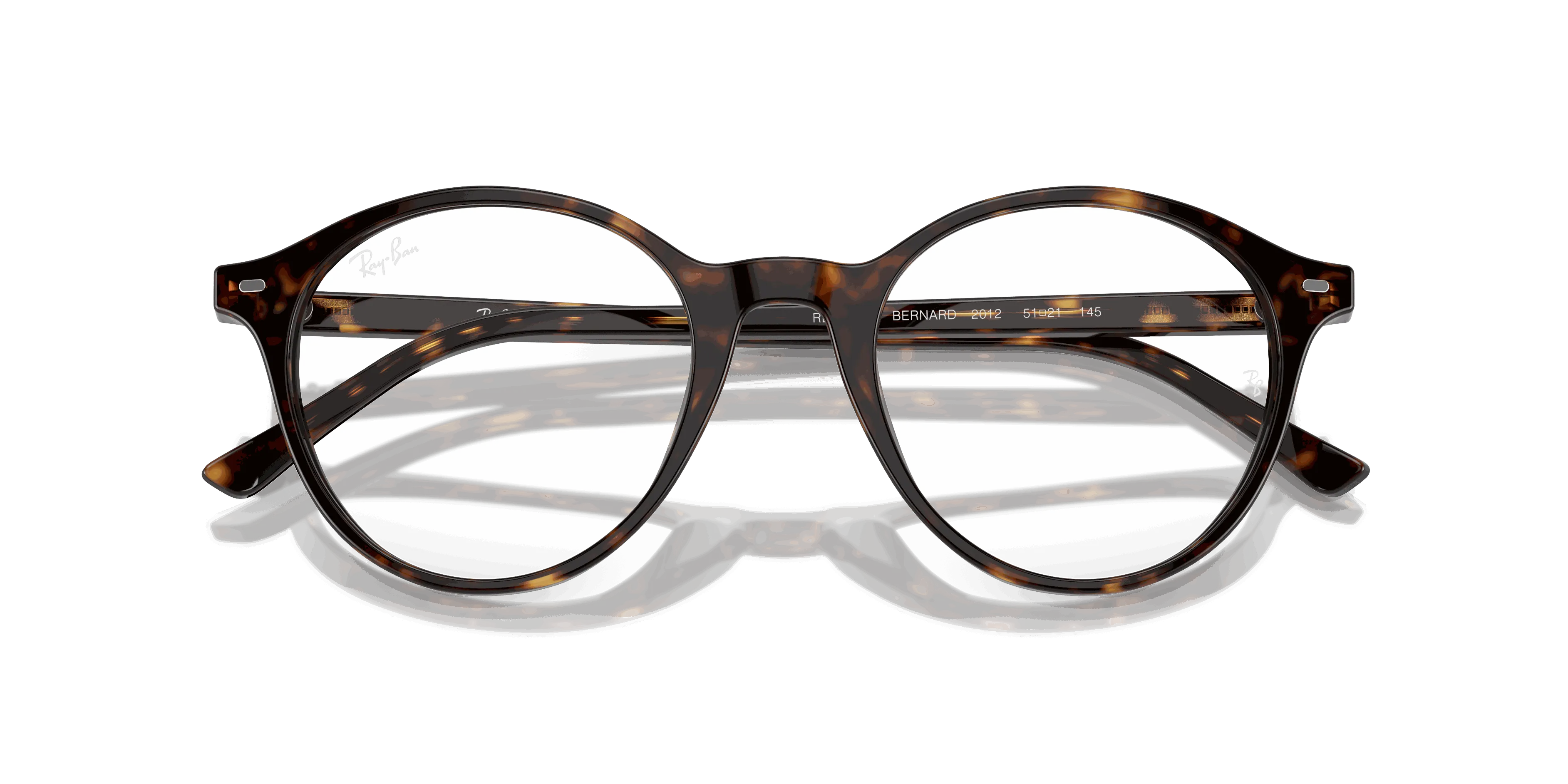 RayBan BERNARD OPTICS