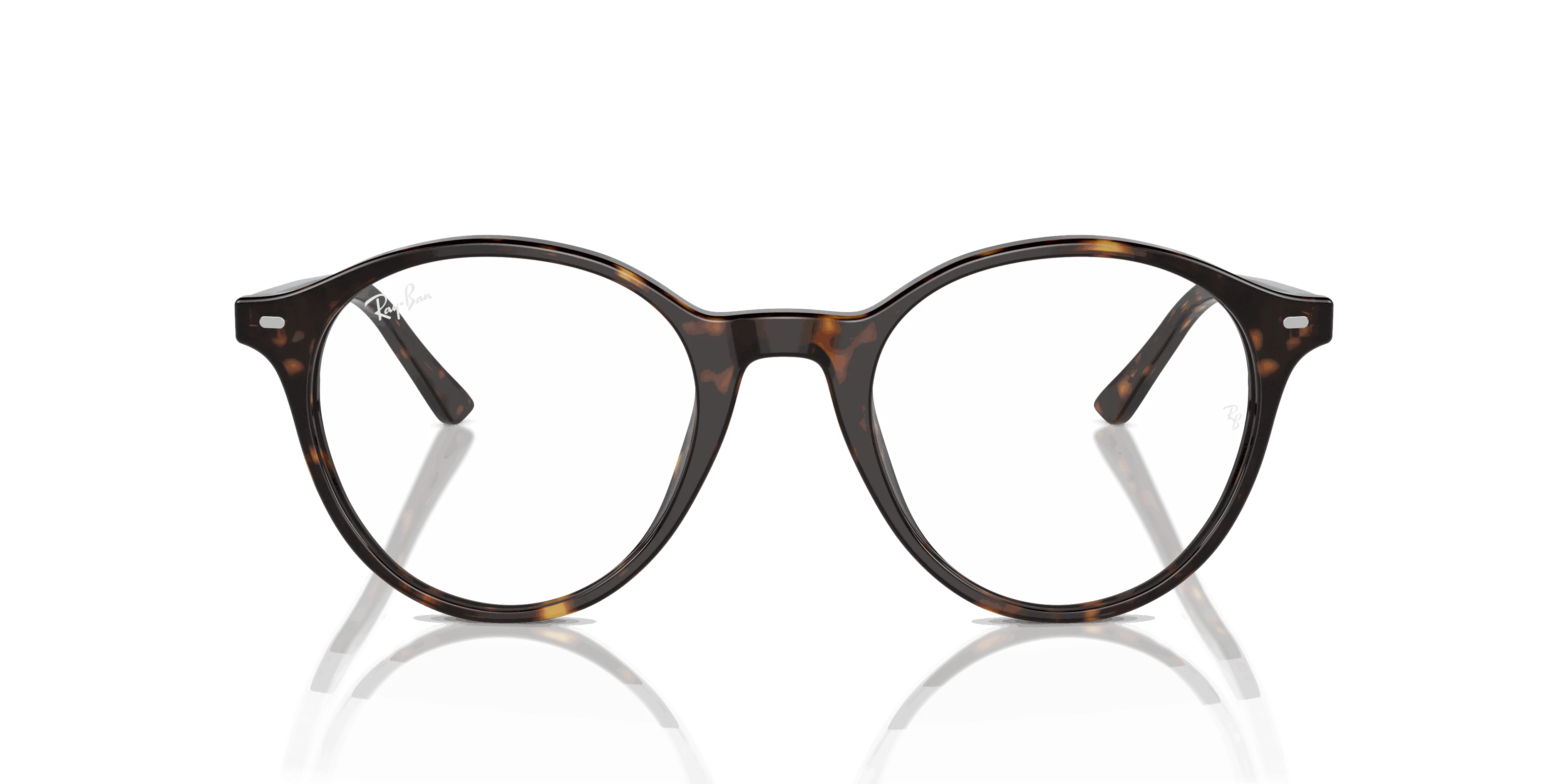 RayBan BERNARD OPTICS