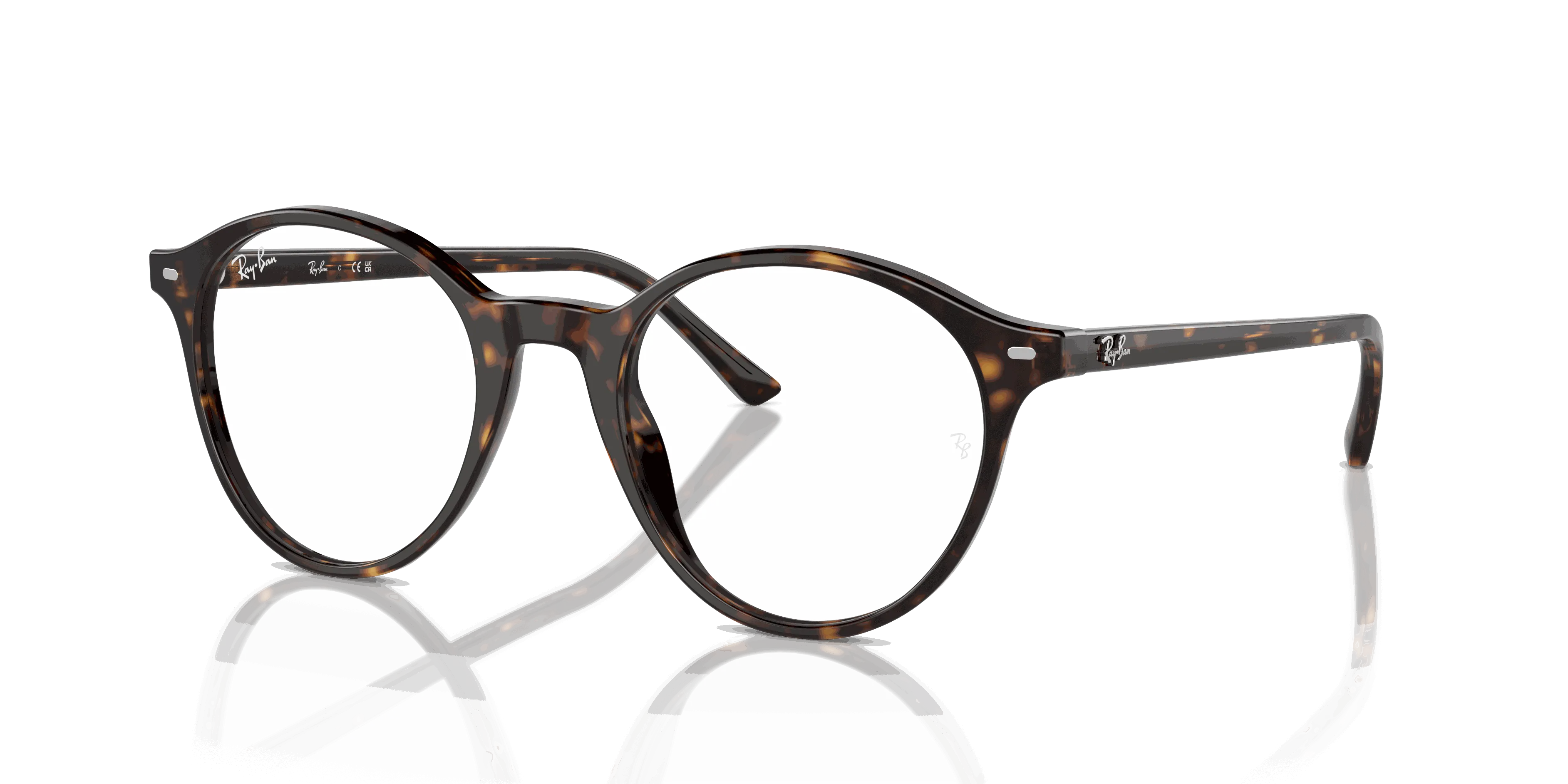 RayBan BERNARD OPTICS