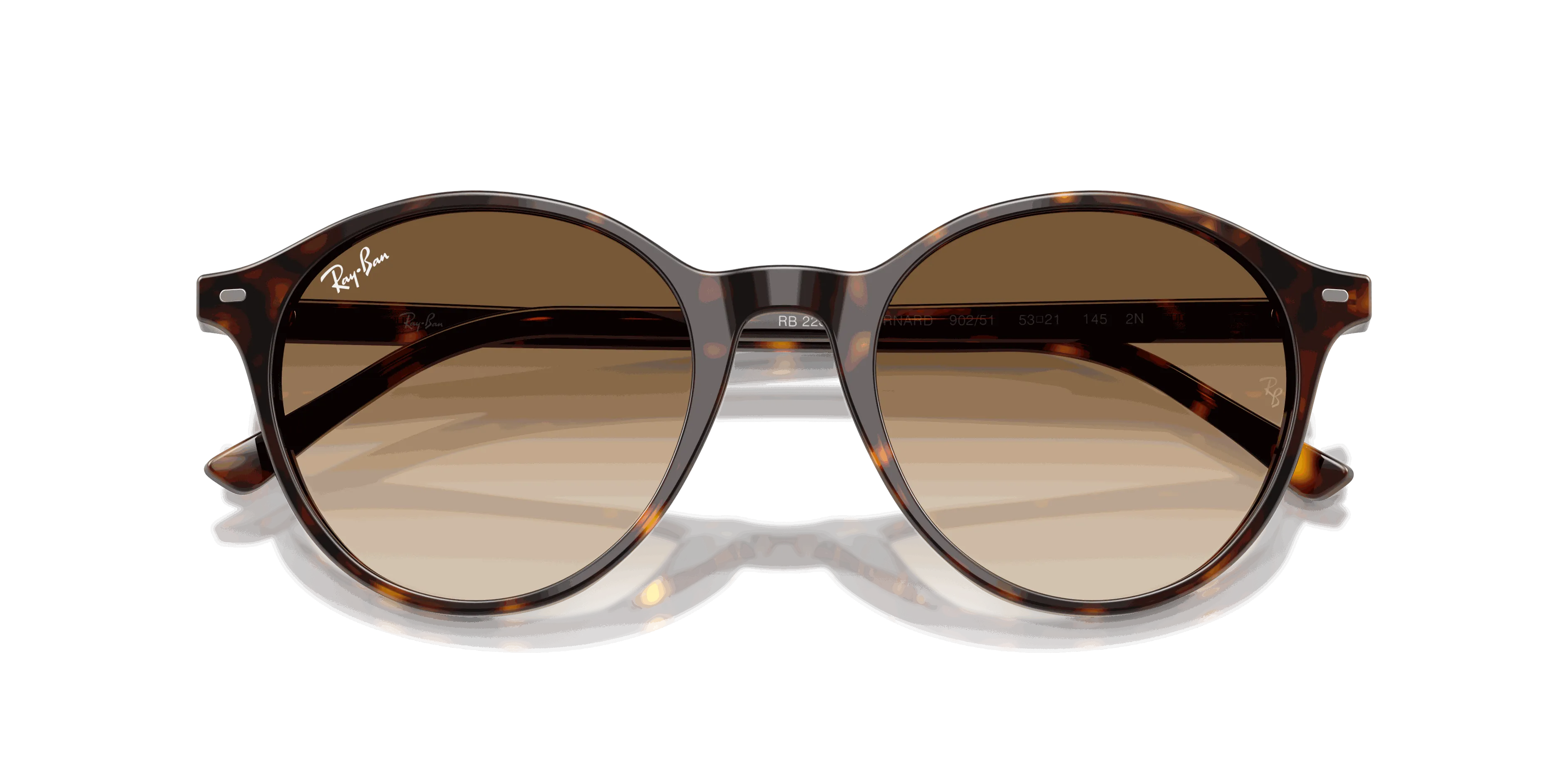 RayBan BERNARD