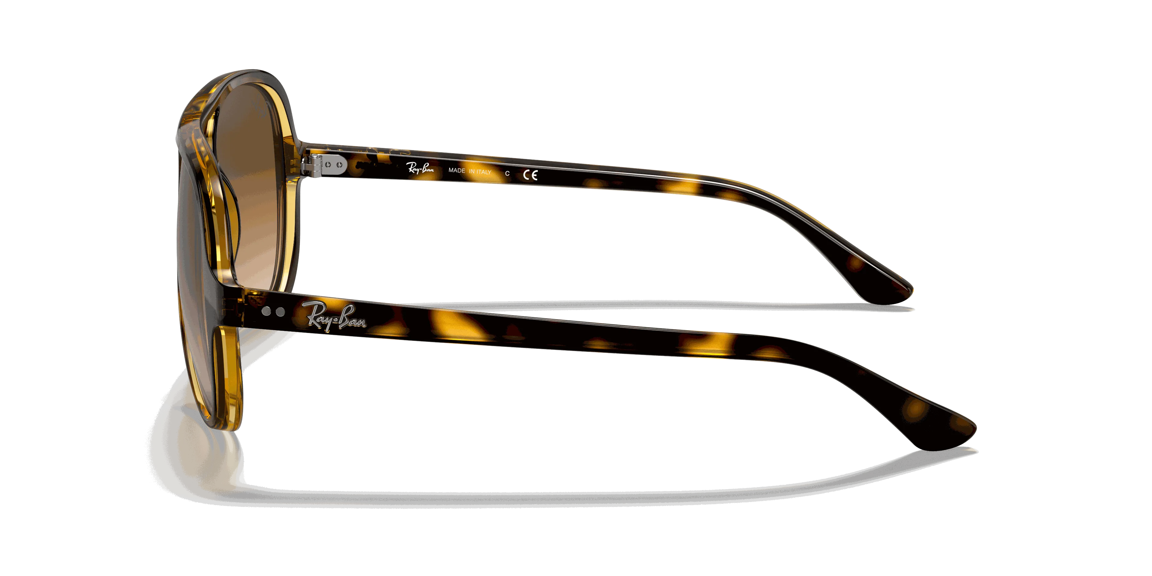 RayBan CATS 5000 CLASSIC