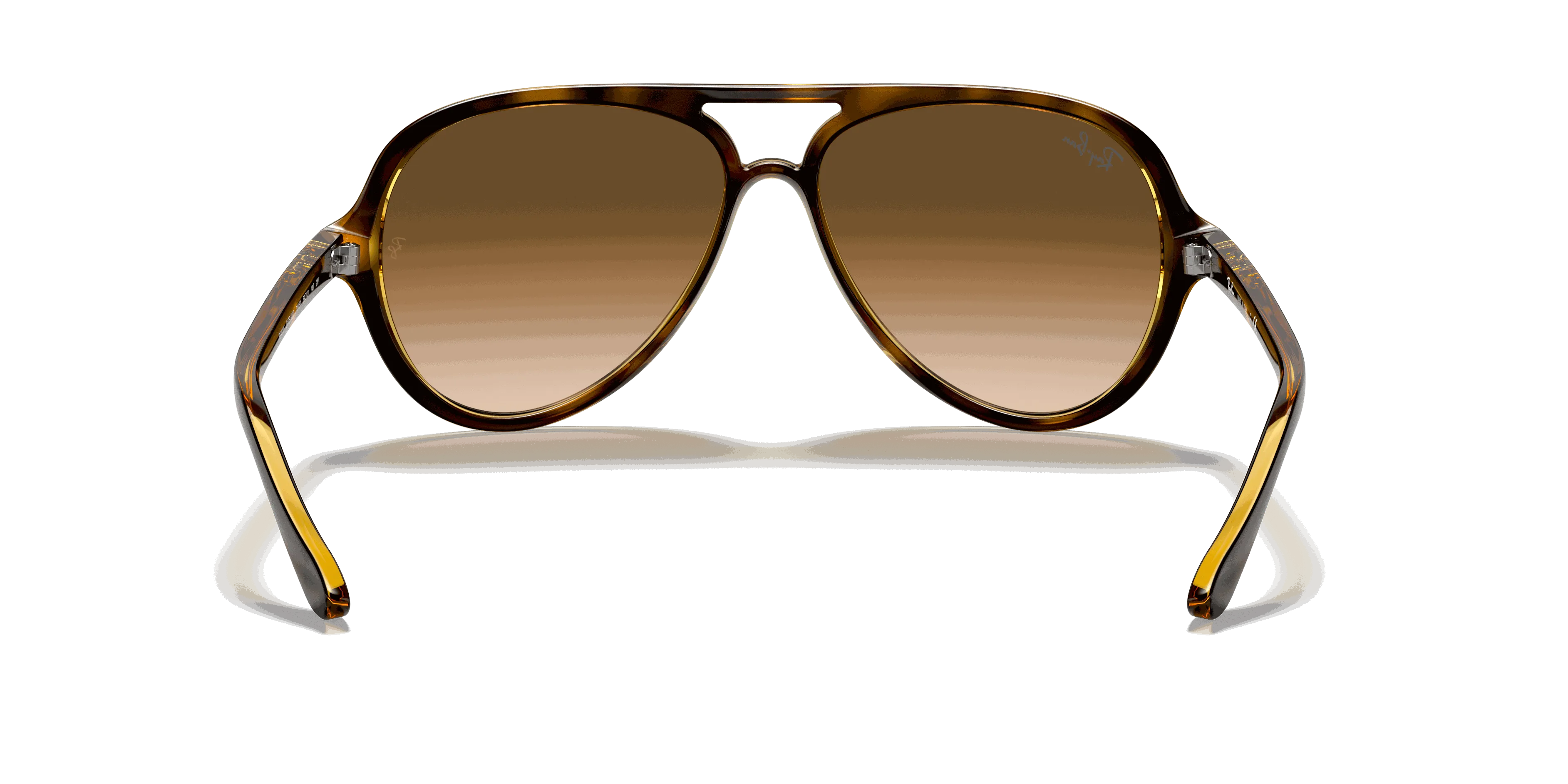 RayBan CATS 5000 CLASSIC