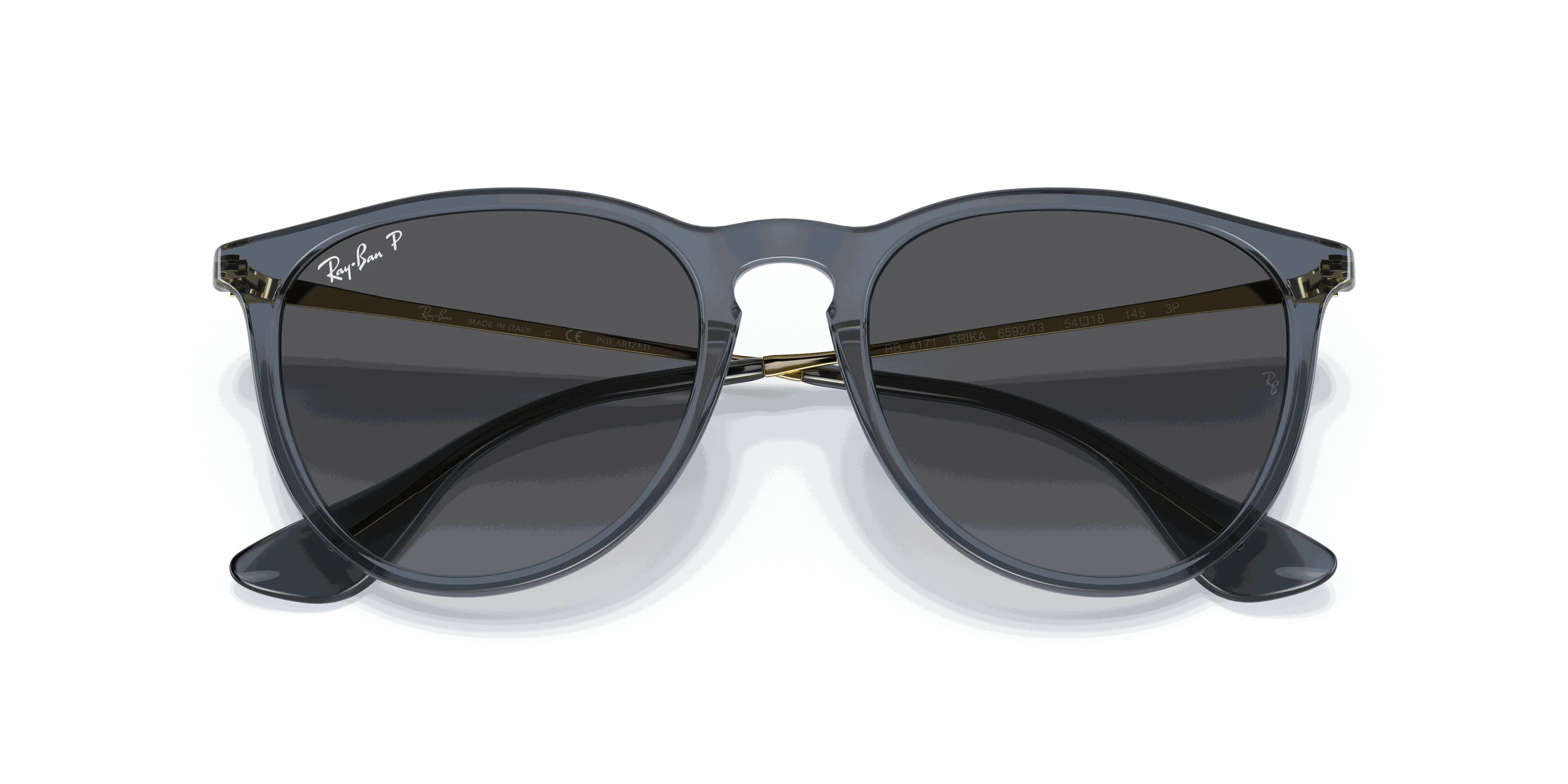 RayBan ERIKA CLASSIC