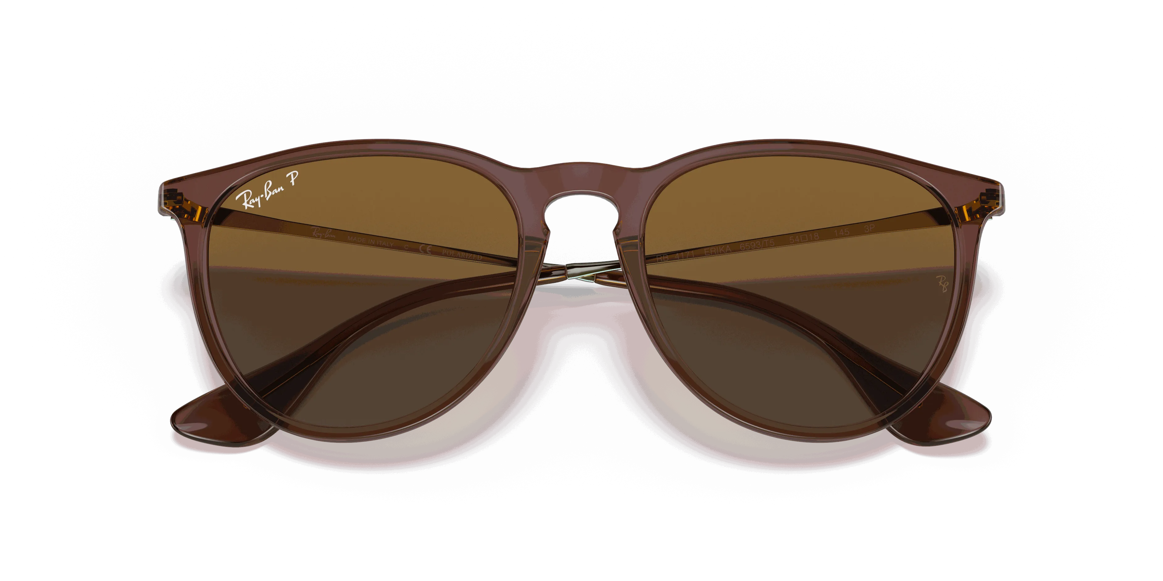 RayBan ERIKA CLASSIC