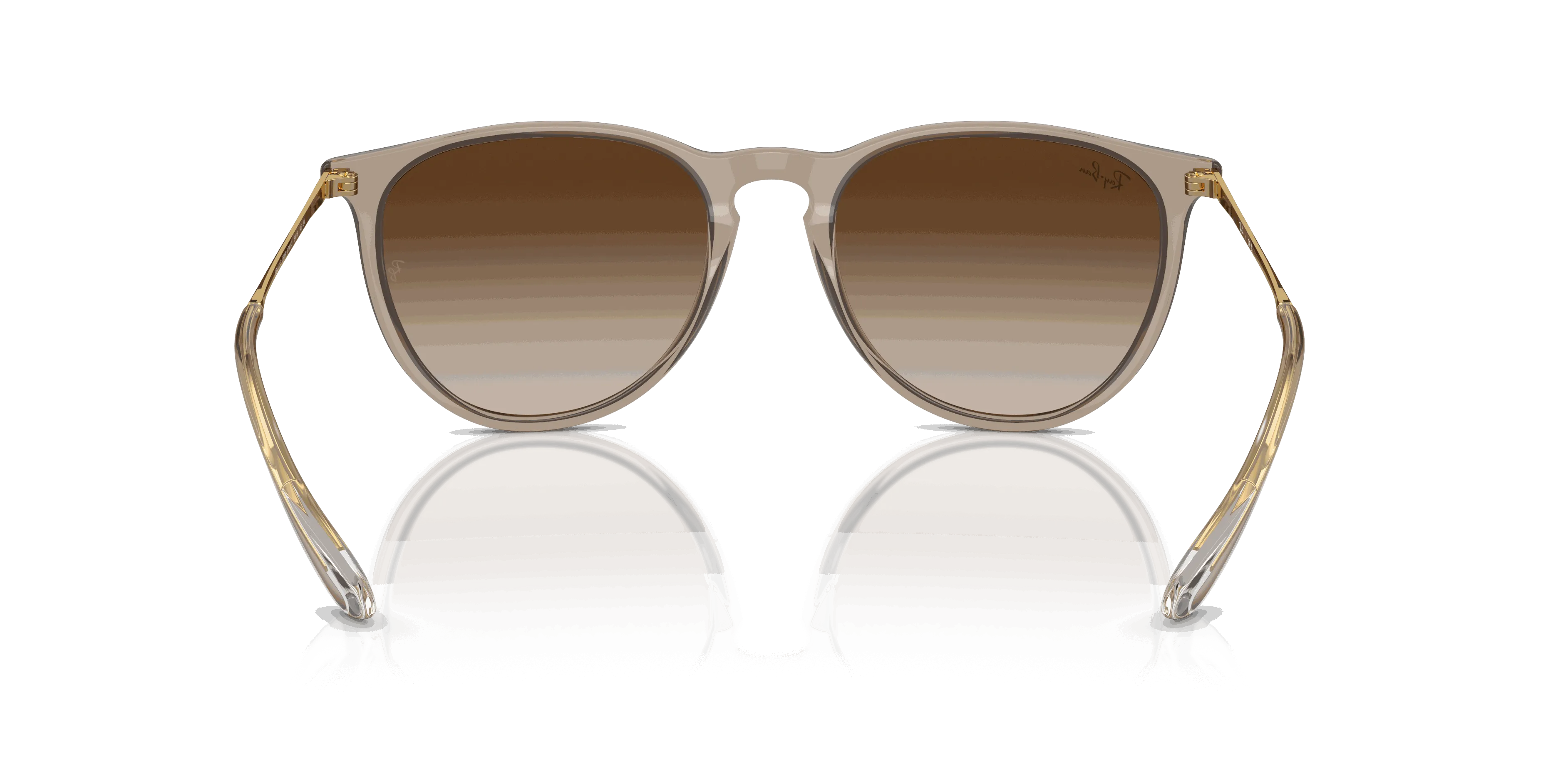 RayBan ERIKA CLASSIC