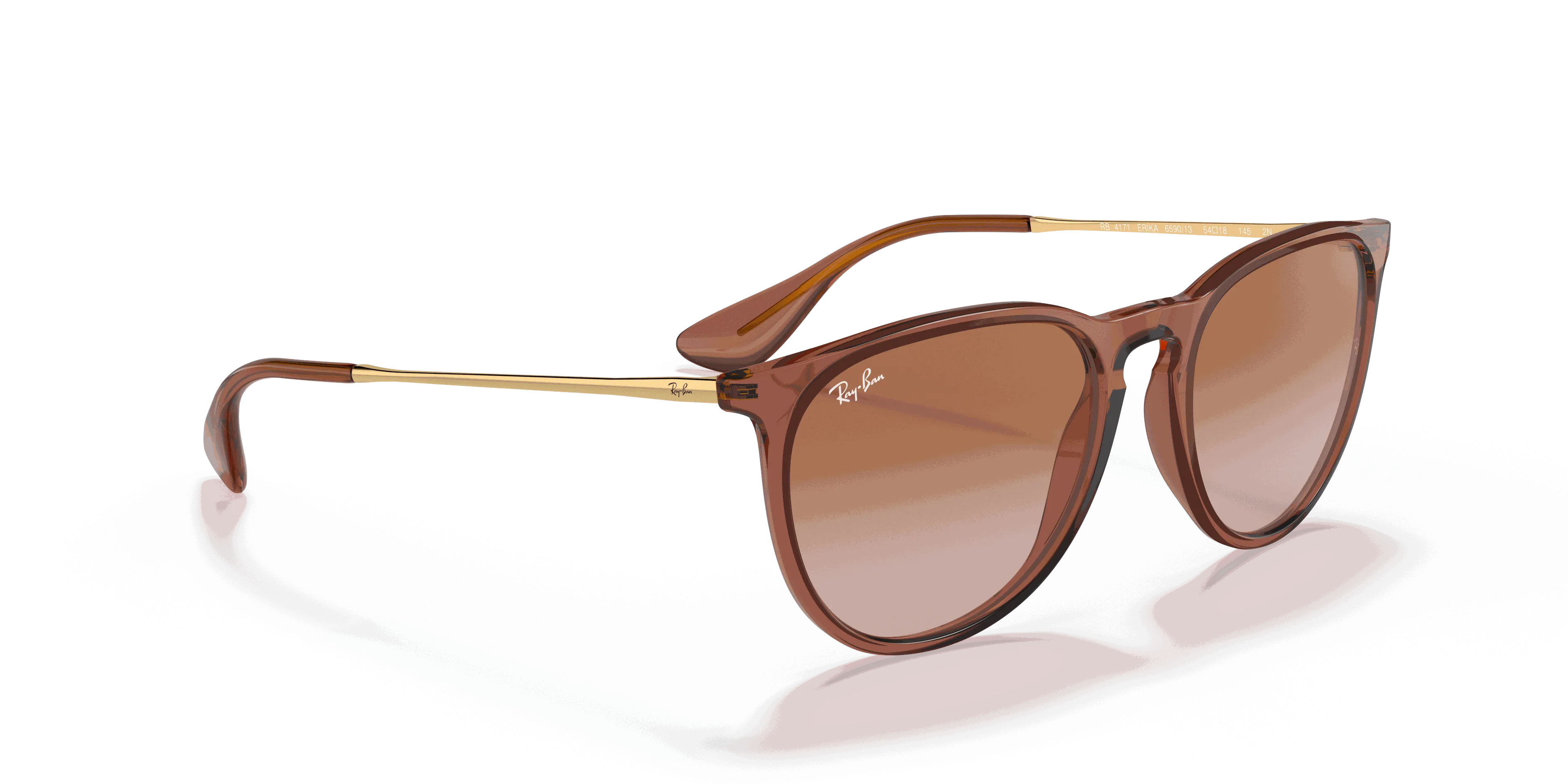 RayBan ERIKA CLASSIC