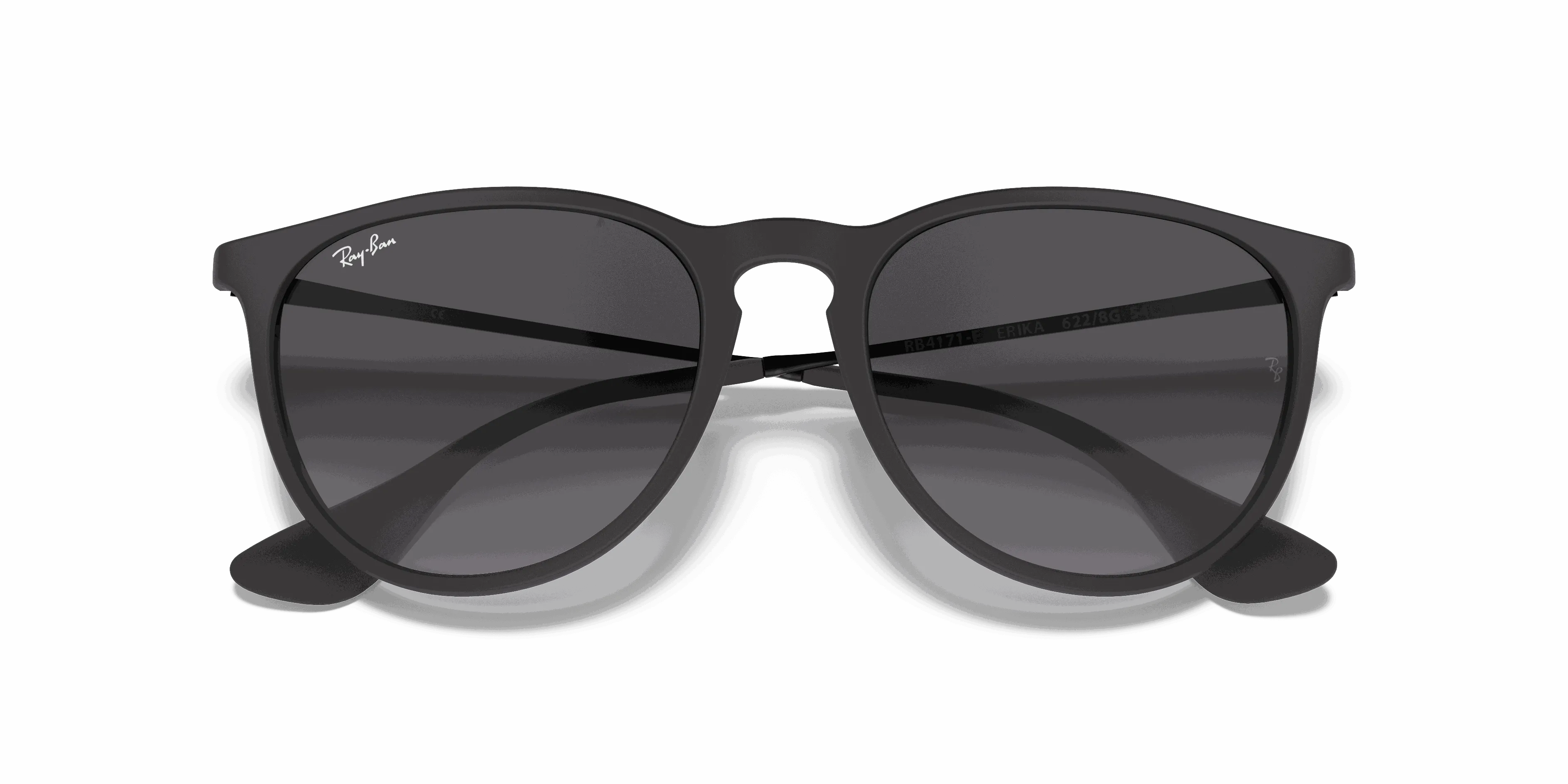 RayBan ERIKA CLASSIC